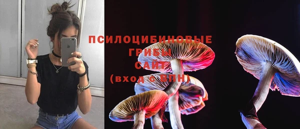крисы Бронницы