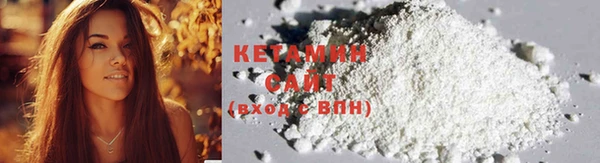 крисы Бронницы