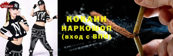крисы Бронницы
