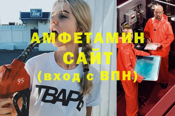 крисы Бронницы