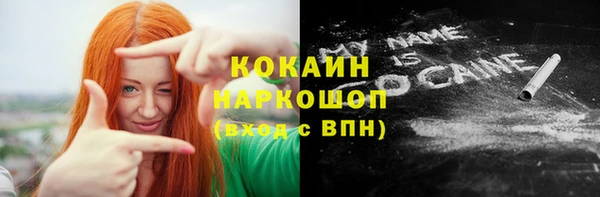 крисы Бронницы