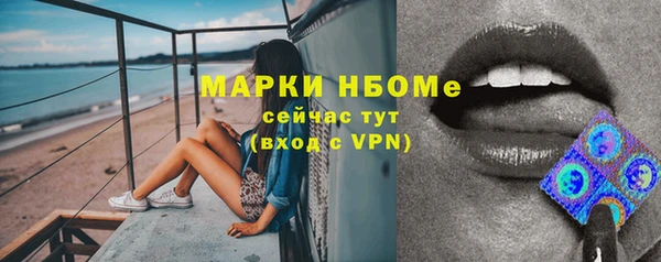 крисы Бронницы