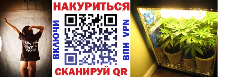blacksprut tor  Электрогорск  нарко площадка Telegram  Марихуана VHQ 
